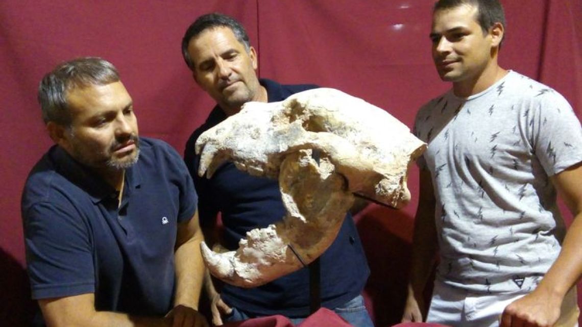 Argentine scientists Matias Swistun, Jose Luis Aguilar and Fausto Capre of La Montana University hold the cranium of a giant bear specimen that was found 170 km north of Buenos Aires, Argentina. 