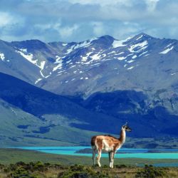 PN Perito Morenoo, para caminar, contemplar, valerse por sí mismo y aprender de los paisajes más hermosos y agrestes de la Patagonia.