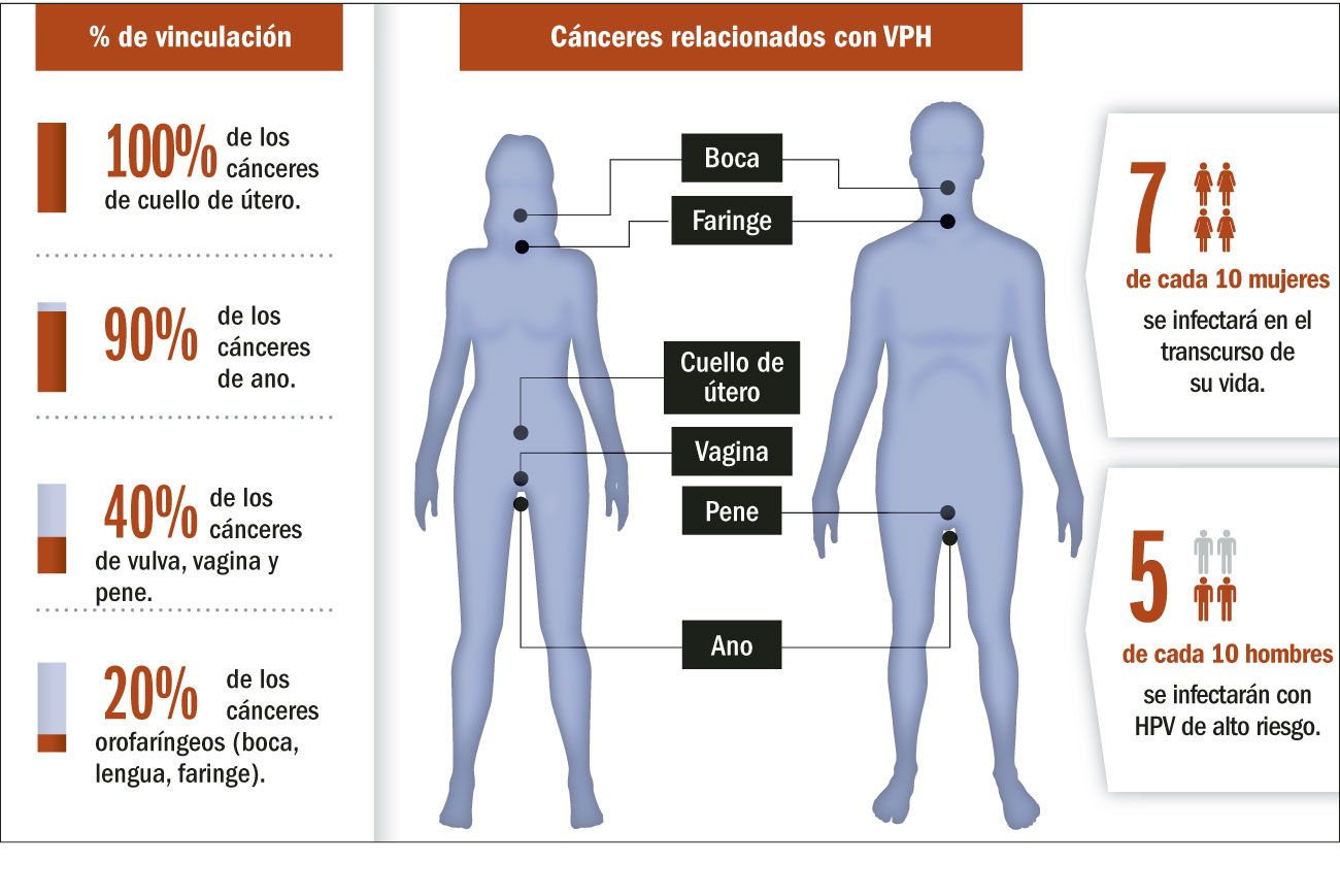 Cada año se diagnostican en la Argentina 5 mil casos nuevos de cáncer de cuello de útero y 1.800 mujeres mueren por esta causa.