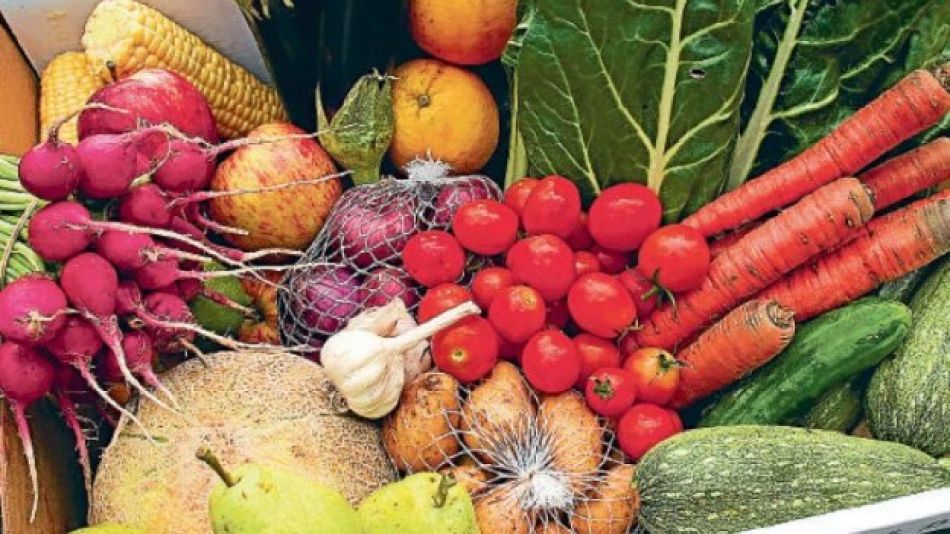 alimentos organicos