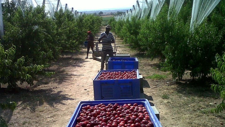 En este contexto, CONINAGRO presentó un proyecto de ley de promoción de las Economías Regionales.