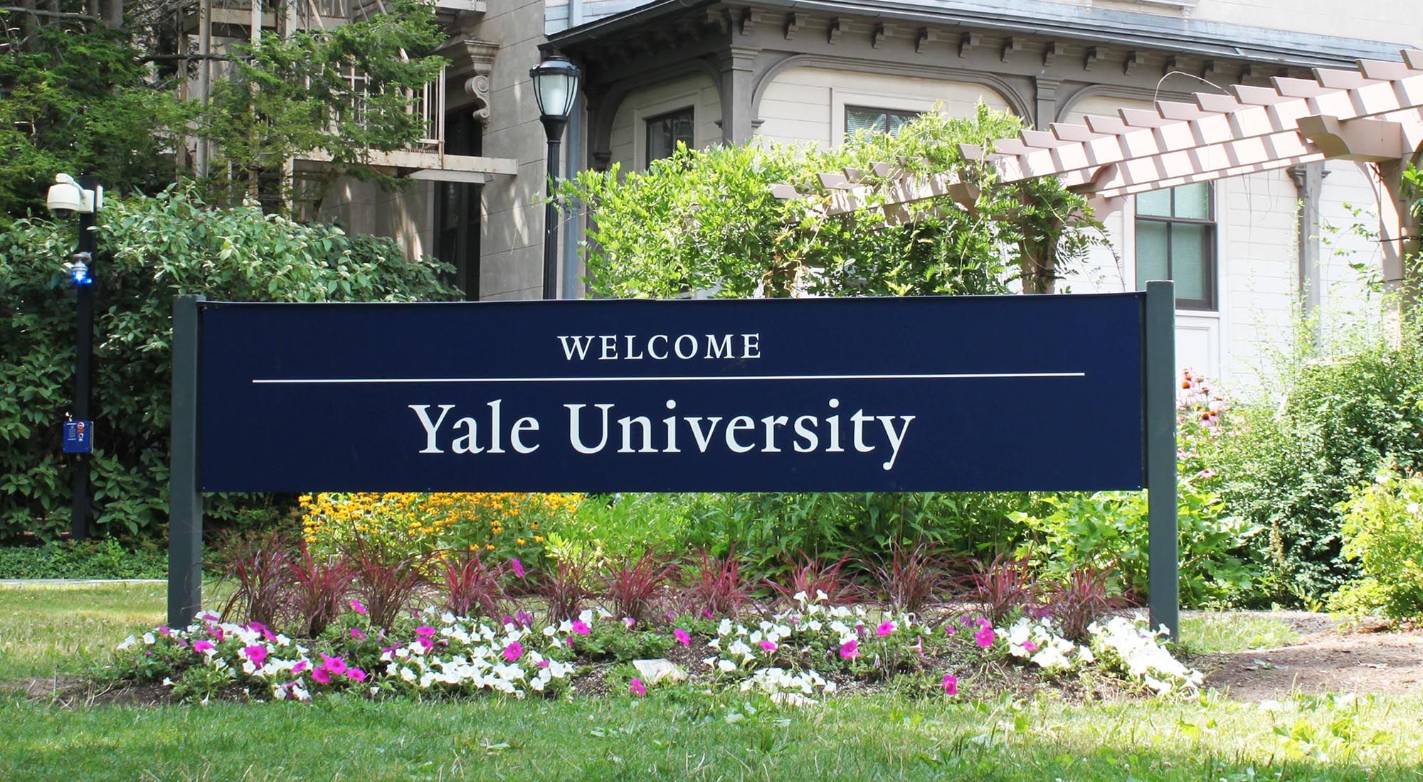 Universidad de Yale