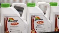 Roundup Attacks Gut Bacteria in People and Pets, Lawsuit Alleges