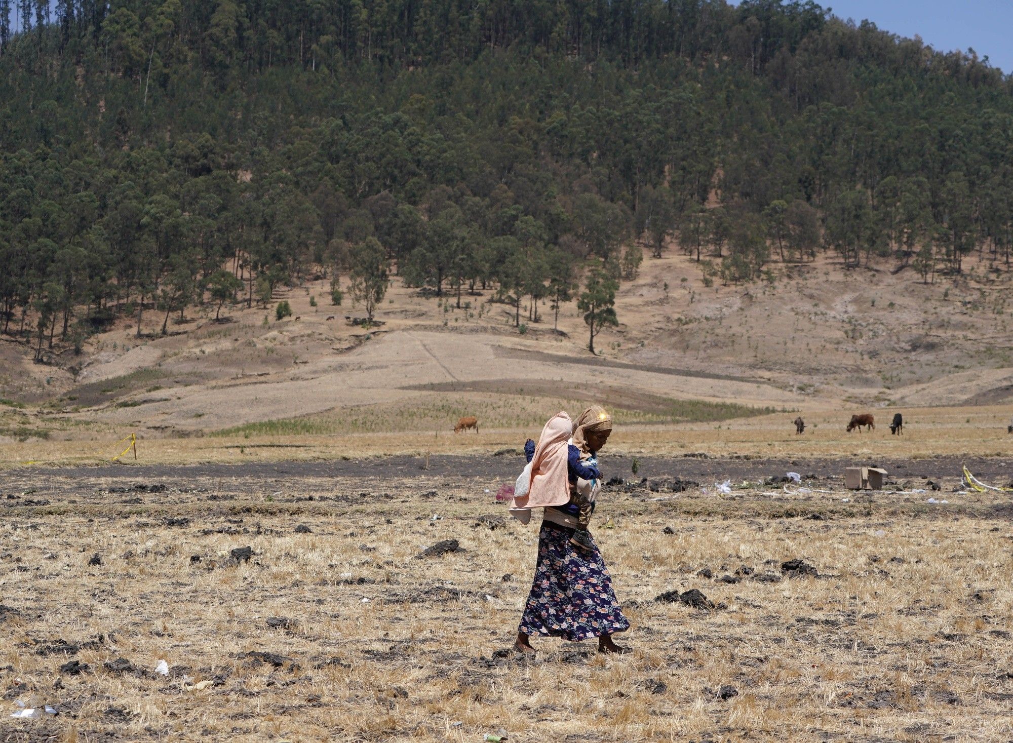 Villagers Attend Mourning Ritual Tulluferra At The Site Of The Ethiopian Airlines Crash