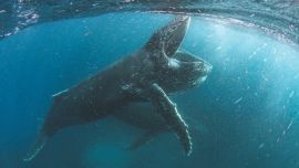 0328_netflix_nuestro_planeta