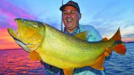 El dorado es el gran atractivo de la pesca deportiva en Paso de la Patria.