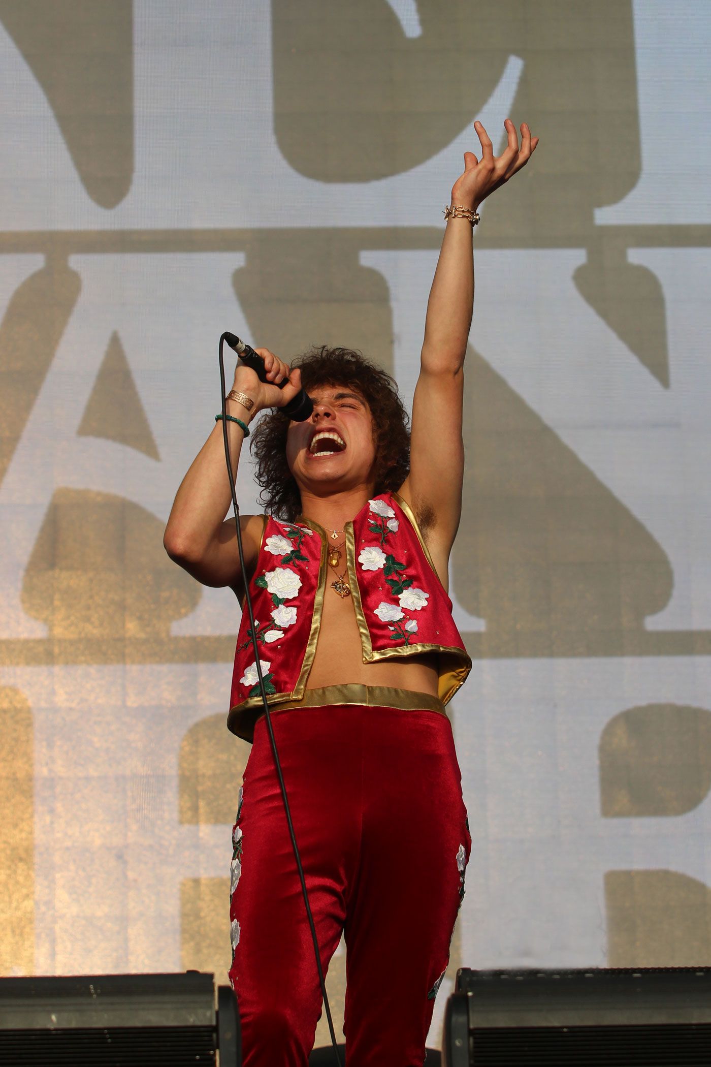 Greta Van Fleet en el Lollapalooza 2019