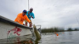 En La Genovesa el éxito va a depender del equipo que utilicemos.