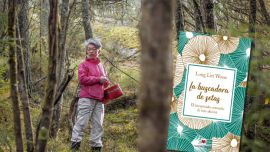 la-buscadora-de-zetas-2