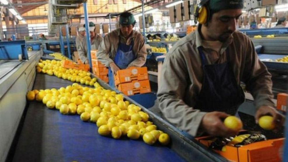 APOYO. Coninagro apuesta al trabajo para disminuir la pobreza y reclama consenso político y social.