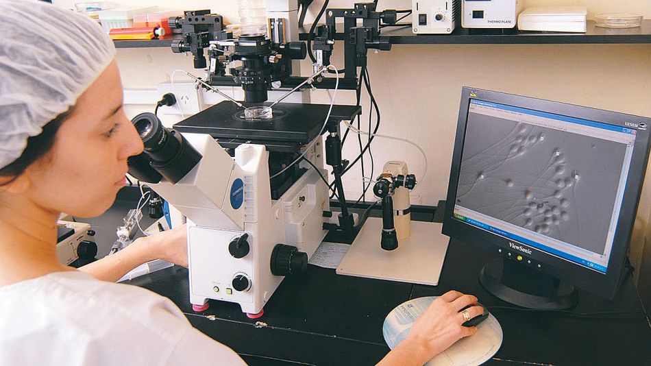20190406_embriones_fertilizacion_cedoc_g.jpg