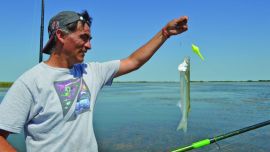 Los Horcones resurgió en la bitácora del pescador.
