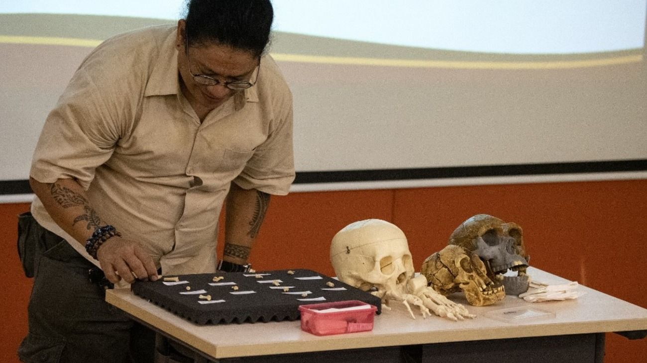 El hallazgo es de 13 huesos y dientes que, según sus descubridores, pertenecen a un nuevo miembro de nuestro propio género al que han bautizado Homo Luzonensis.