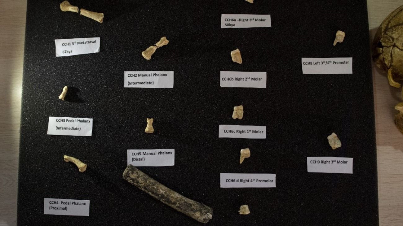 Los fósiles proporcionan evidencias que apuntan a la existencia de una nueva especie de homínido que vivió hace más de 50.0000 años. 