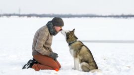 El perro es conocido popularmente como “el mejor amigo del hombre”.