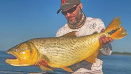0415 dorados Puerto Rzepecki