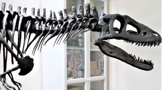 T-REX