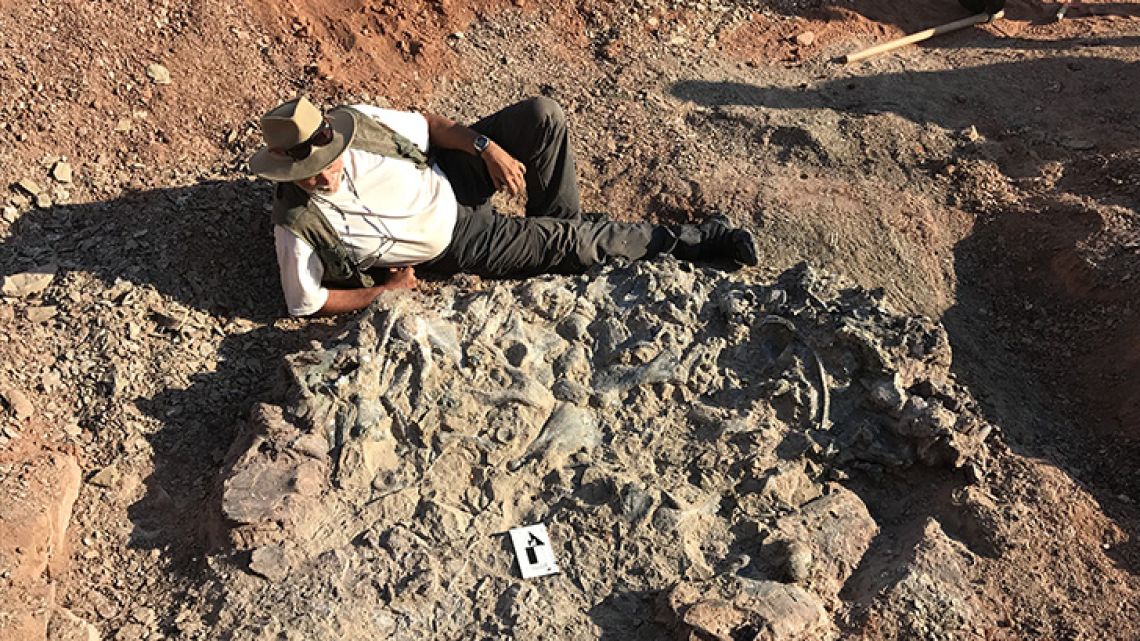 Handout photo released by the Institute and Museum of Natural Sciences (IMCN) of San Juan University, shows researcher Ricardo Martínez sitting next to a 220-million-year-old fossil at the Ischigualasto National Park on April 8, 2019. 