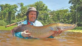 0422 arapaima amazonas