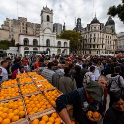 People line up to receive free fruit and vegetables, in front of the Casa Rosada.