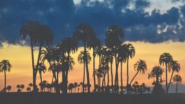 0423 rutas turísticas gastronómicas palmares