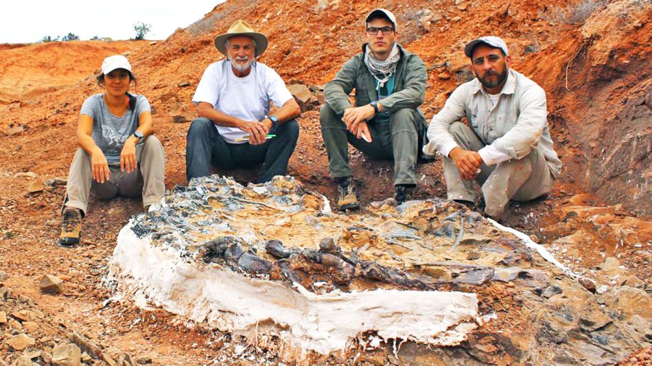 20190427_cementerio_dinosaurios_museosanjuan_g.jpg