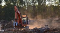 deforestacion global