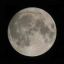luna-05132019-03