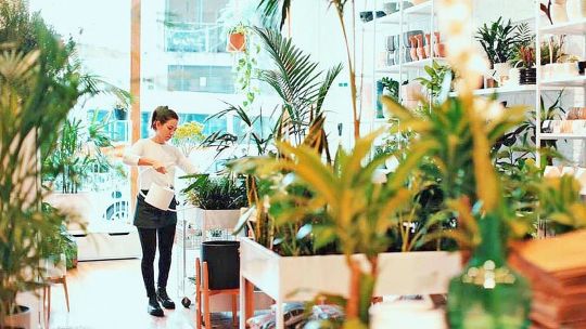 El vivero Potit. Llegó hace tres años a Palermo y desde entonces no para de crecer.