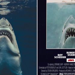 La fotografía rápidamente se popularizó en las redes sociales gracias a su similitud con el poster de Jaws, que fue creado por el artista Roger Kastel.