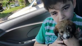 thiago melocoton 05082019