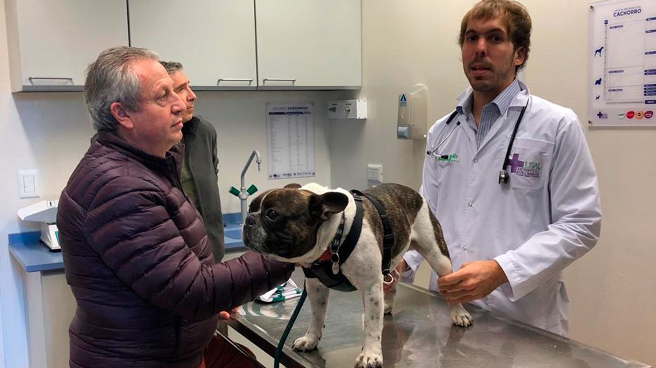 El 10 de mayo se inauguró en Pilar el hospital veterinario de la USAL, bautizado San Francisco de Asís.