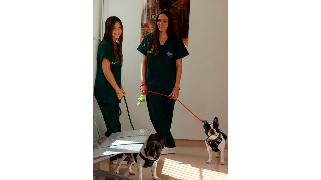 El 10 de mayo se inauguró en Pilar el hospital veterinario de la USAL, bautizado San Francisco de Asís.