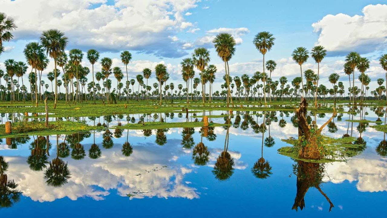 Chaco y Formosa destinos con mucha cultura y naturaleza Weekend