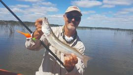 Pejerreyes de 40 cm pescados entre los juncos. Son un verdadero placer.