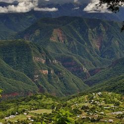 Las Yungas muestran otra cara de Jujuy. Selva viva como en el Parque Nacional Calilegua con flora y fauna nativas y viejos senderos incas.