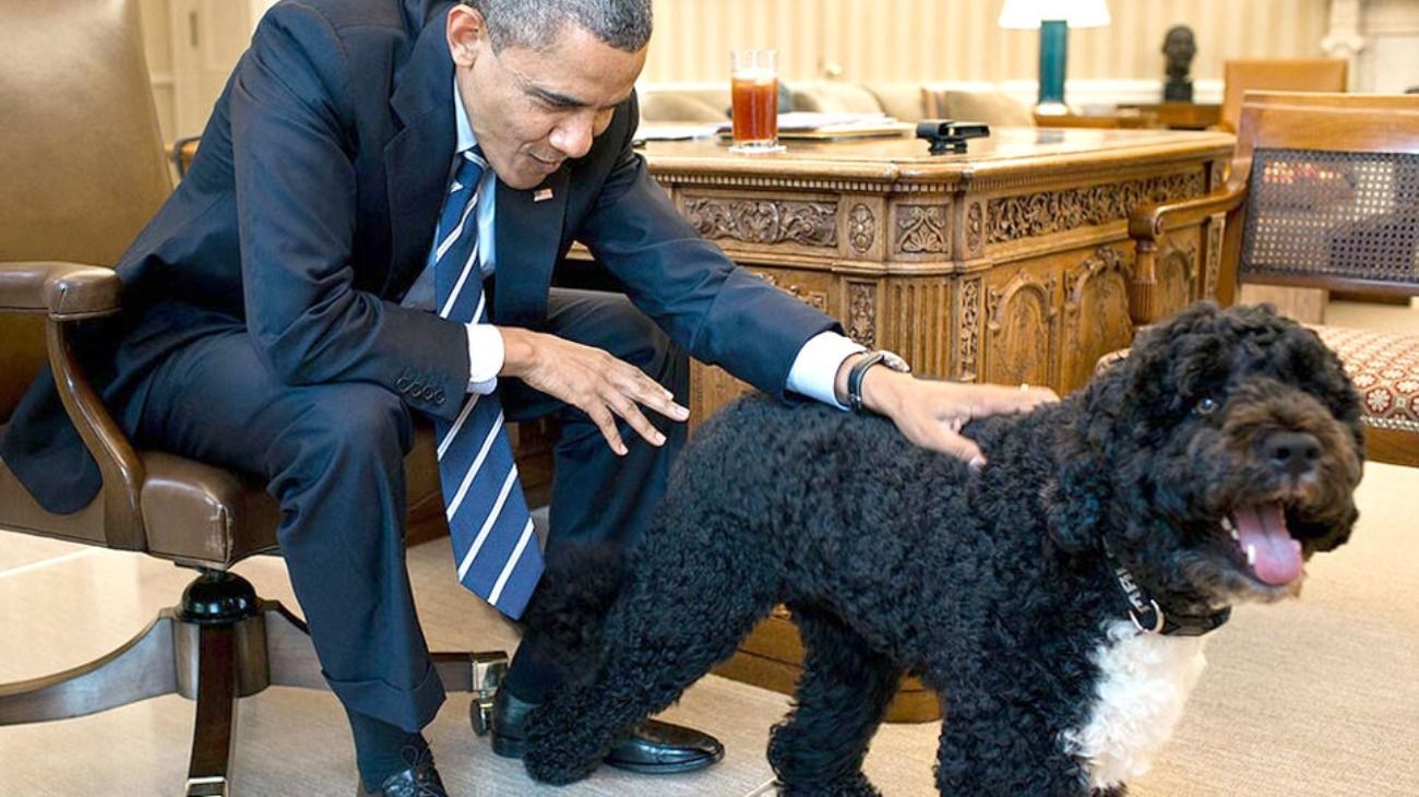 Barack Obama junto con uno de sus perros. 