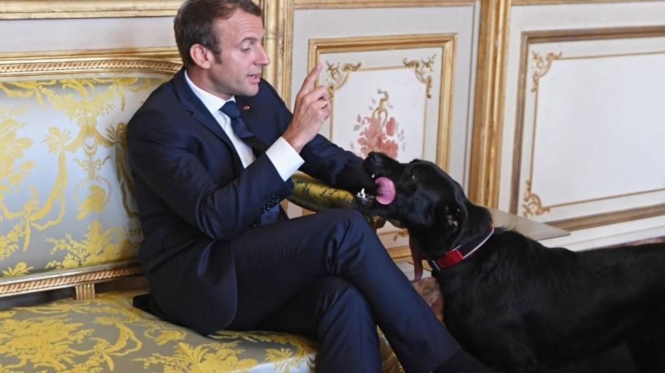 El presidente de Francia, Emmanuel Macron, junto a su perro Nemo. 