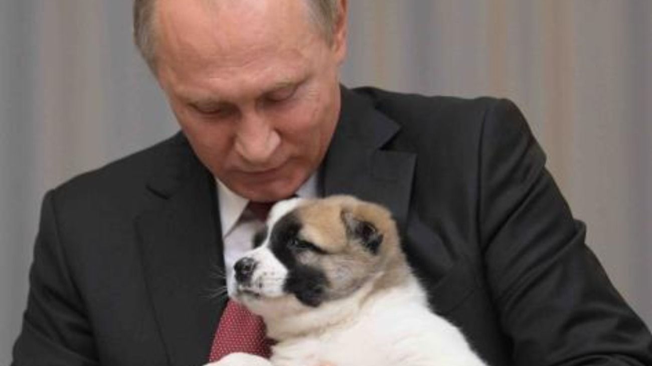 El presidente ruso Vladimir Putin y su perro Verny. 