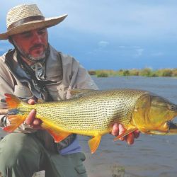 Uno de los buenos dorados del segundo día, pescado de vadeo en los cortes de los terraplenes. 