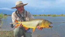 0523 Fiesta con mosca en el Paraná Inferior