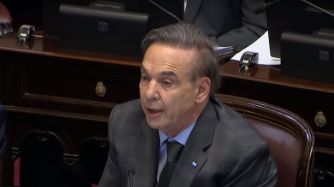 Miguel Angel Pichetto durante la exposición en el Senado