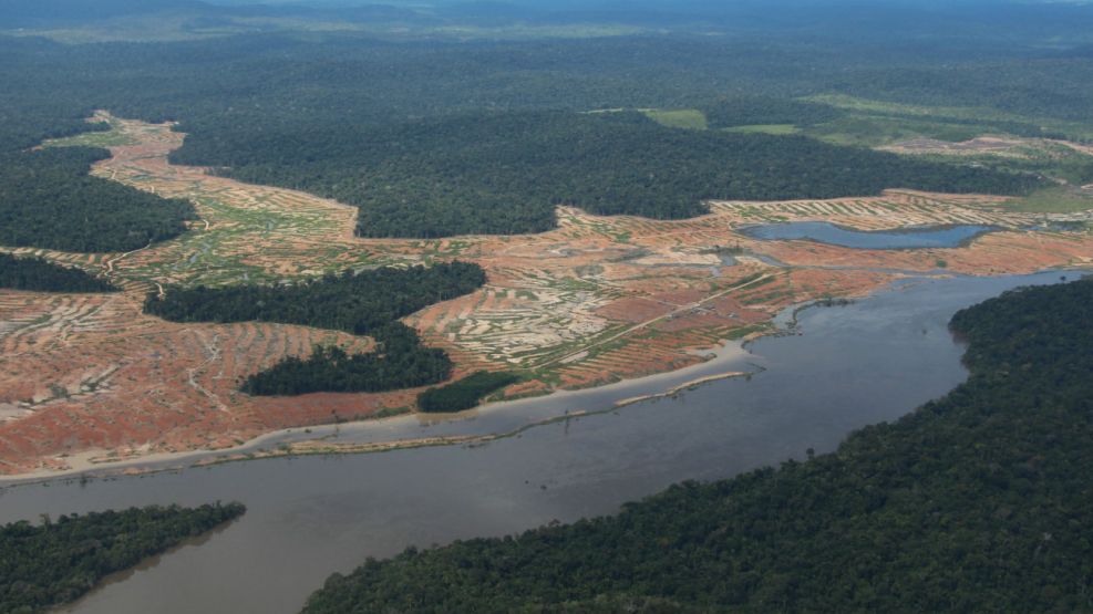 deforestacion brasil amazonia