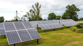 Además de los paneles, usan herbicidas de bajo impacto ambiental, mejoran la eficiencia en el uso del agua y cuidan la sanidad.