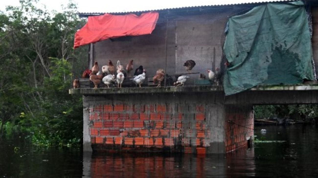 Nanawa, una ciudad bajo agua por el desborde del río Paraguay.