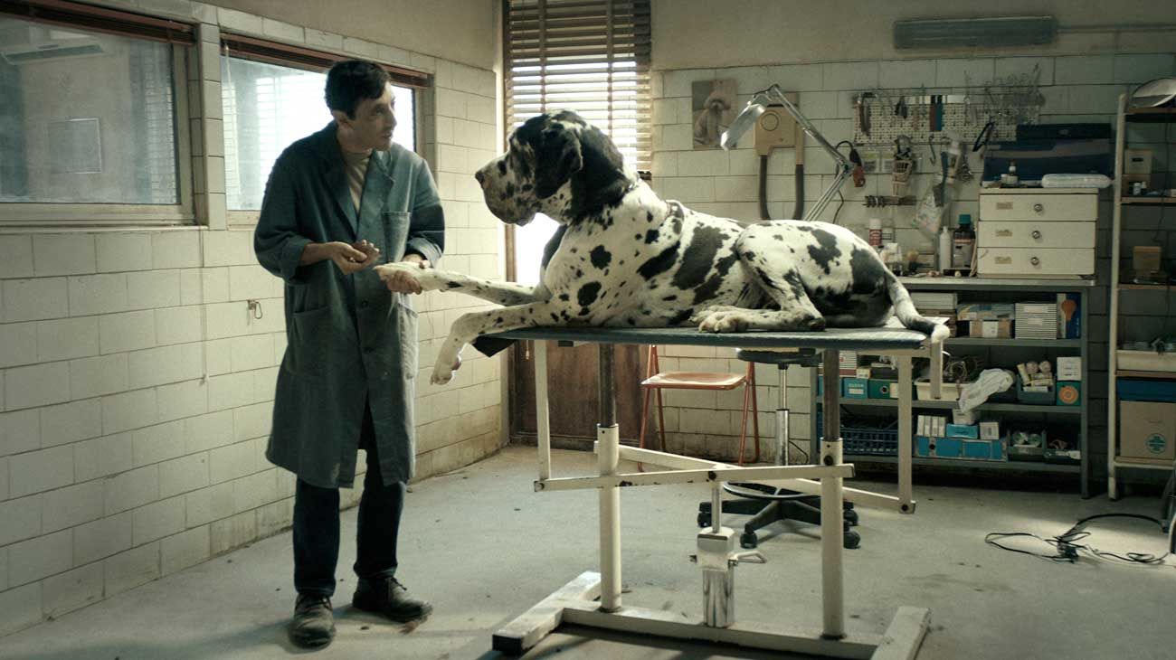 La película Dogman, de Matteo Garrone, obtuvo nueve distinciones en los premios Donatello, entre ellos las de mejor película, mejor guión y mejor dirección..