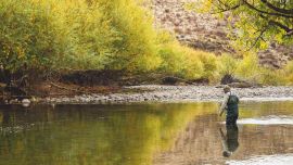 Pescando en el río macho o en los innumerables brazos menores.