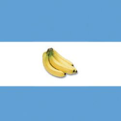 argentinos 