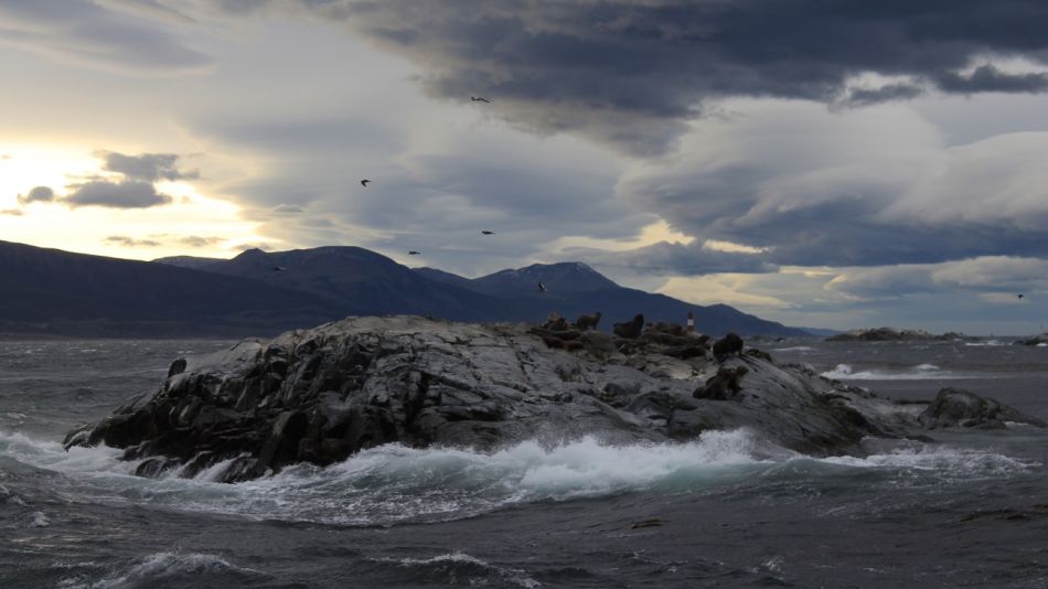 Argentina y Chile se unen por primera vez para investigar en el Canal Beagle.