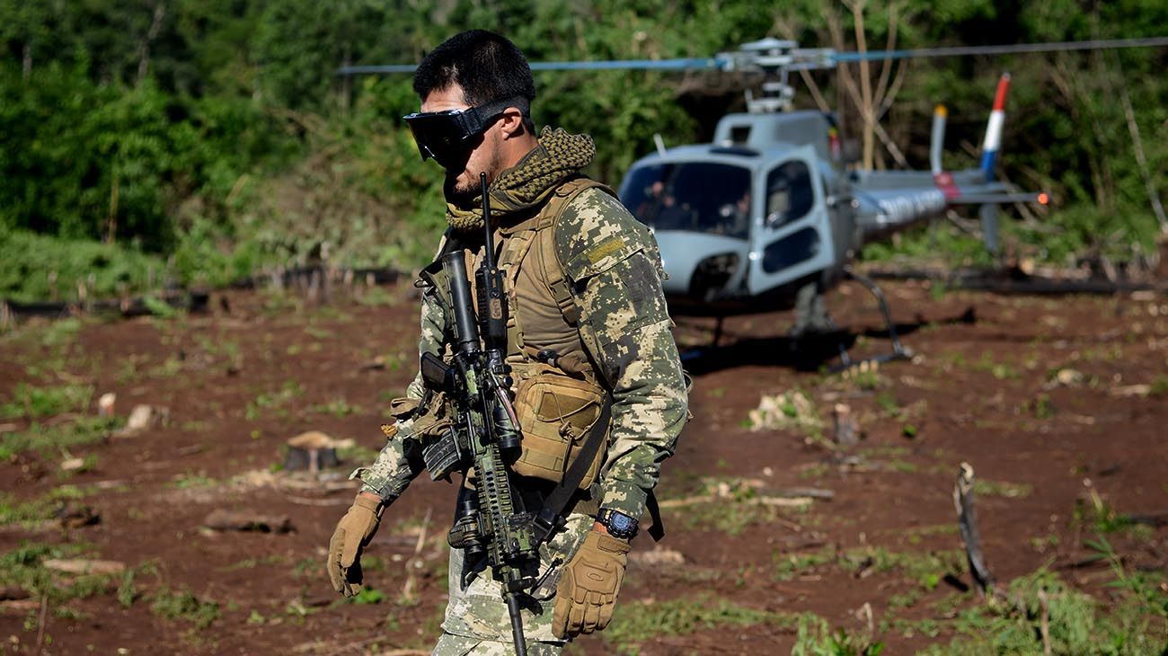 Plantaciones de marihuana en la ciudad de Pedro Juan Caballero en Paraguay